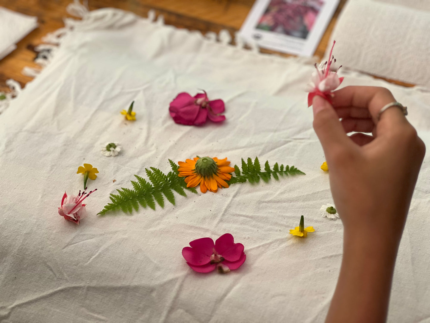9/18/25 Botanical Print Workshop