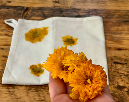 9/18/25 Botanical Print Workshop