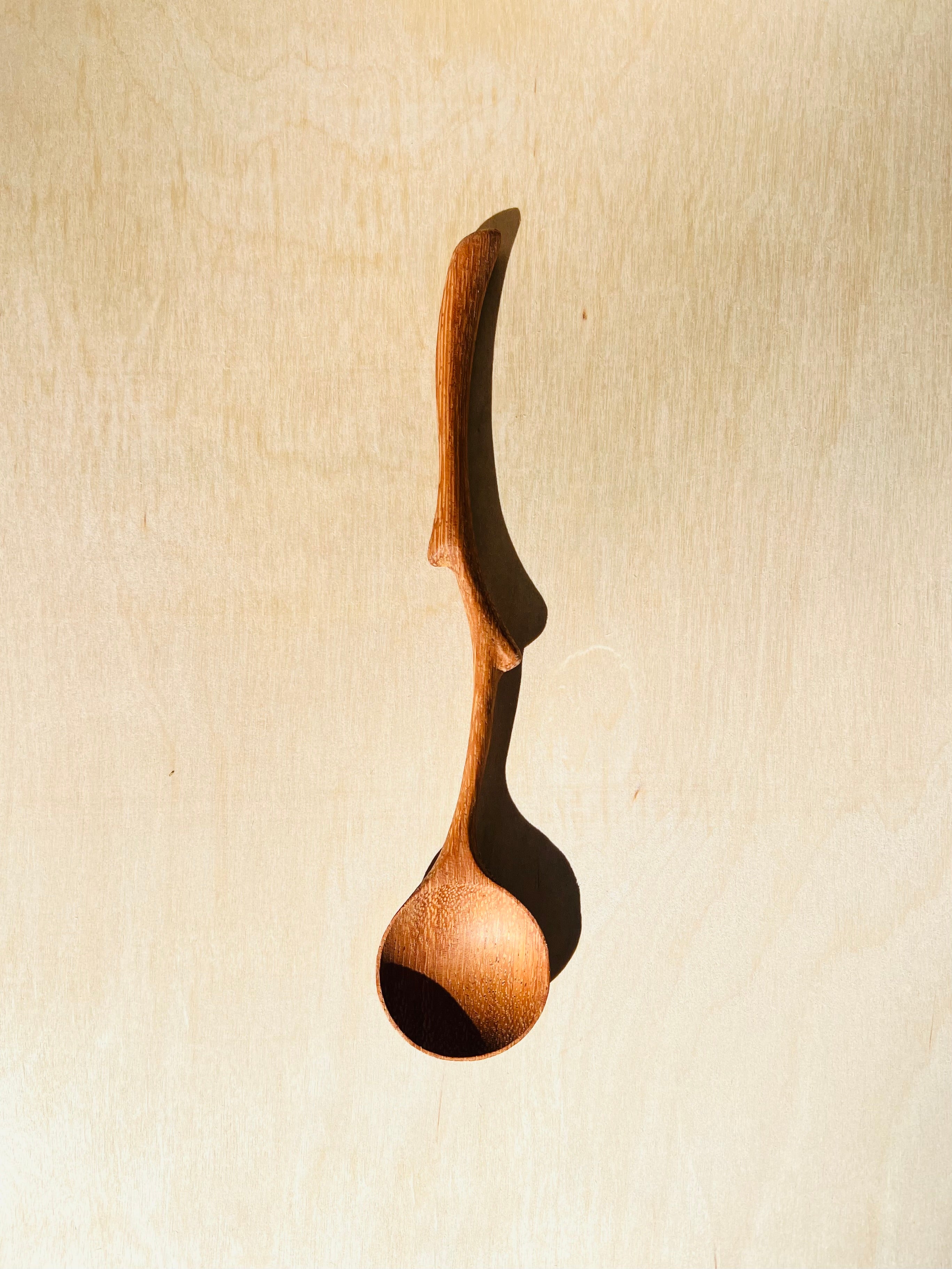 Twiggy Tea Spoon